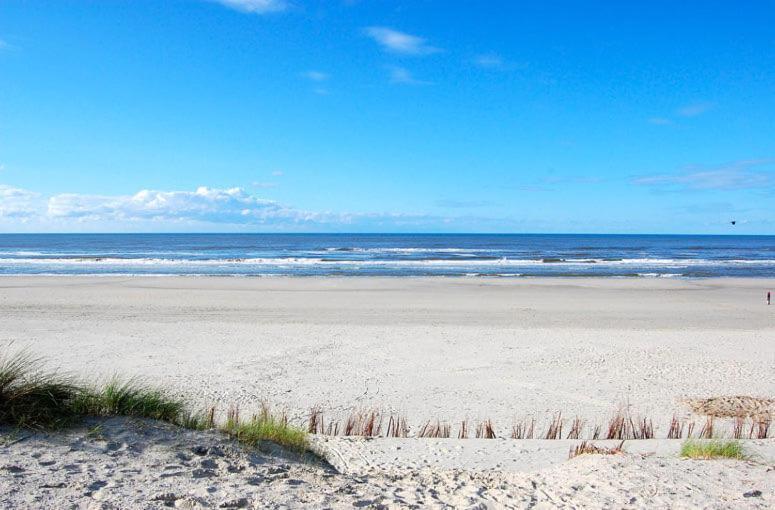 Lodge Inn Ameland T12, Inclusief Fietsen! بورين المظهر الخارجي الصورة