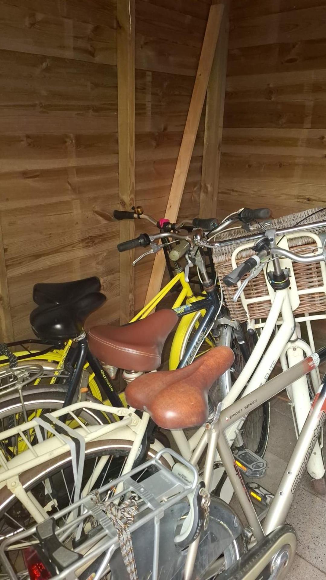 Lodge Inn Ameland T12, Inclusief Fietsen! بورين المظهر الخارجي الصورة